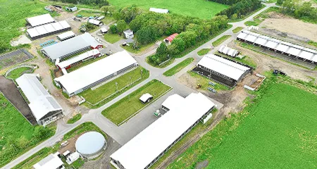 牧場施設の全景